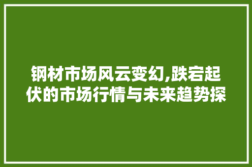 钢材市场风云变幻,跌宕起伏的市场行情与未来趋势探析