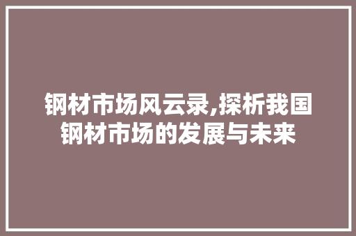 钢材市场风云录,探析我国钢材市场的发展与未来