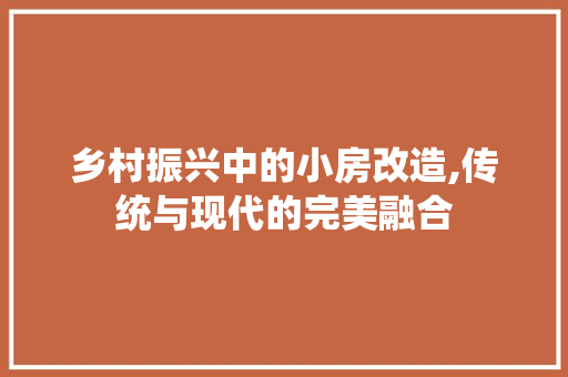 乡村振兴中的小房改造,传统与现代的完美融合