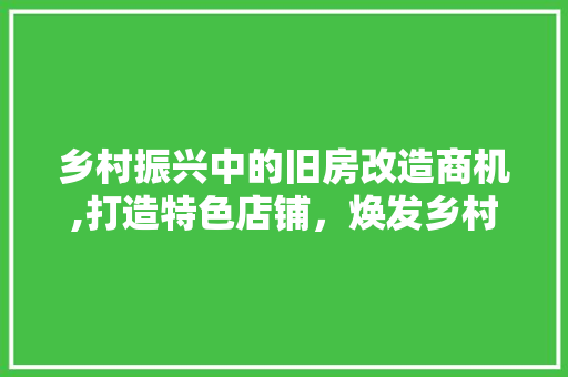 乡村振兴中的旧房改造商机,打造特色店铺，焕发乡村活力