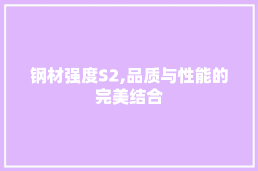 钢材强度S2,品质与性能的完美结合