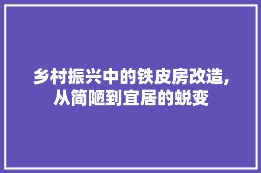 乡村振兴中的铁皮房改造,从简陋到宜居的蜕变