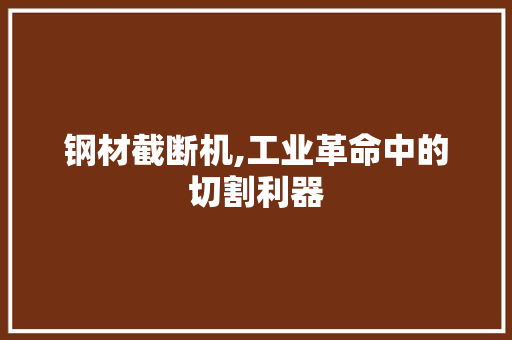 钢材截断机,工业革命中的切割利器