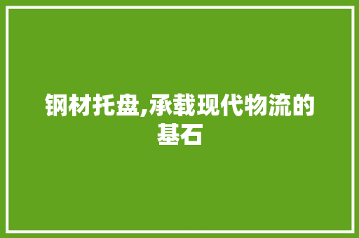 钢材托盘,承载现代物流的基石