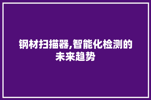 钢材扫描器,智能化检测的未来趋势