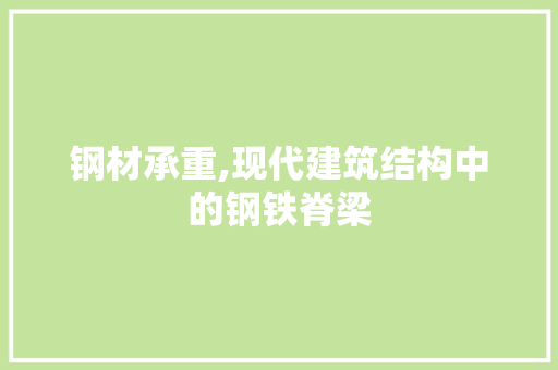 钢材承重,现代建筑结构中的钢铁脊梁