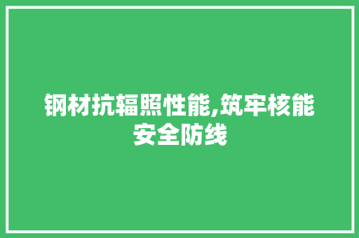 钢材抗辐照性能,筑牢核能安全防线