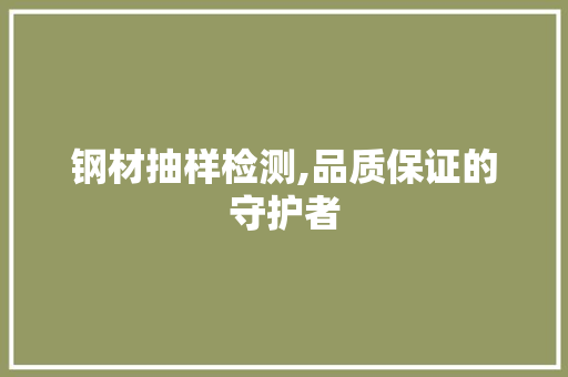 钢材抽样检测,品质保证的守护者