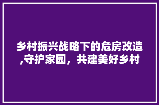 乡村振兴战略下的危房改造,守护家园，共建美好乡村
