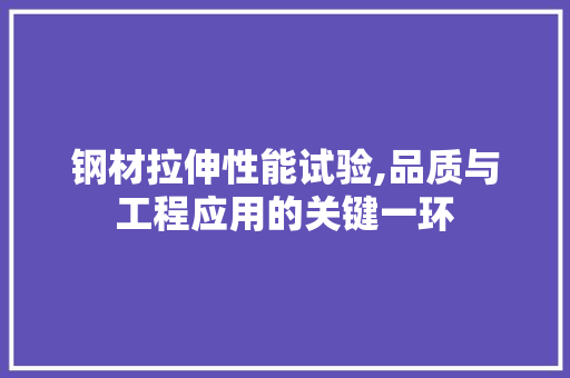 钢材拉伸性能试验,品质与工程应用的关键一环