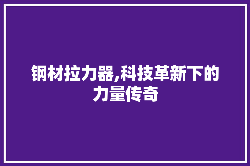 钢材拉力器,科技革新下的力量传奇
