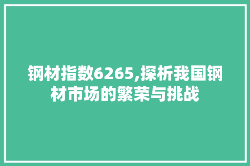 钢材指数6265,探析我国钢材市场的繁荣与挑战