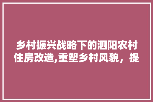 乡村振兴战略下的泗阳农村住房改造,重塑乡村风貌，提升农民生活品质