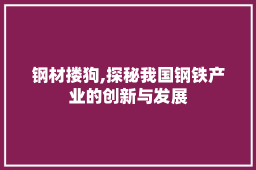 钢材搂狗,探秘我国钢铁产业的创新与发展