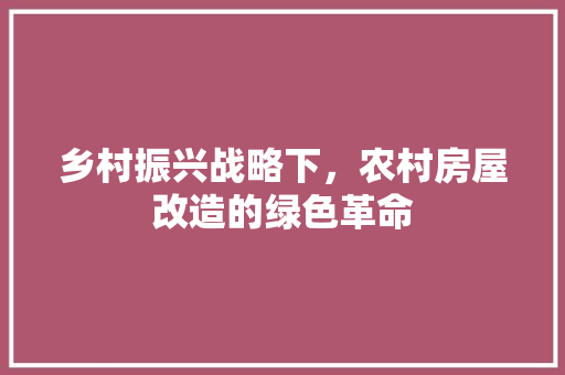 乡村振兴战略下，农村房屋改造的绿色革命