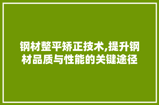 钢材整平矫正技术,提升钢材品质与性能的关键途径