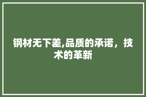 钢材无下差,品质的承诺，技术的革新