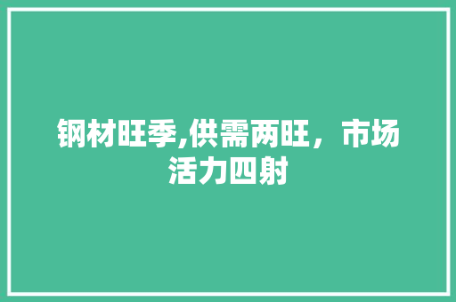 钢材旺季,供需两旺，市场活力四射