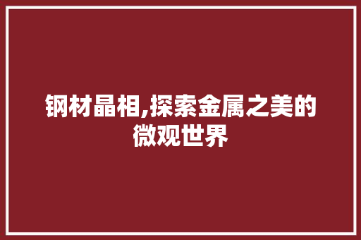 钢材晶相,探索金属之美的微观世界