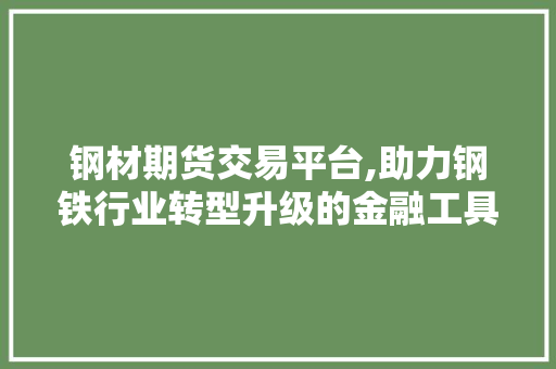 钢材期货交易平台,助力钢铁行业转型升级的金融工具