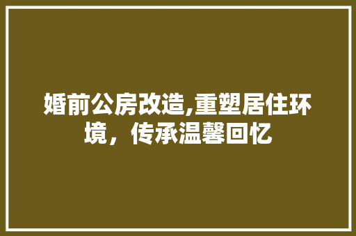 婚前公房改造,重塑居住环境，传承温馨回忆
