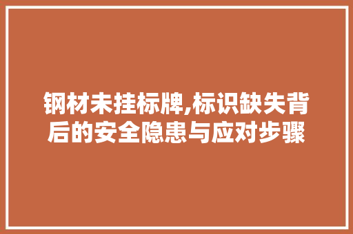 钢材未挂标牌,标识缺失背后的安全隐患与应对步骤