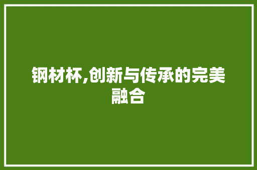 钢材杯,创新与传承的完美融合