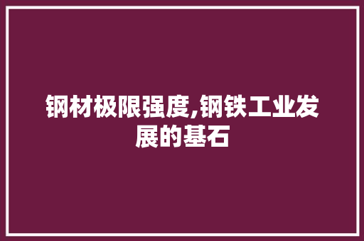 钢材极限强度,钢铁工业发展的基石