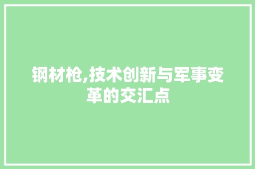 钢材枪,技术创新与军事变革的交汇点