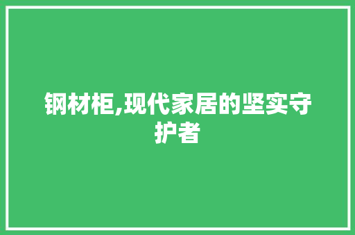 钢材柜,现代家居的坚实守护者