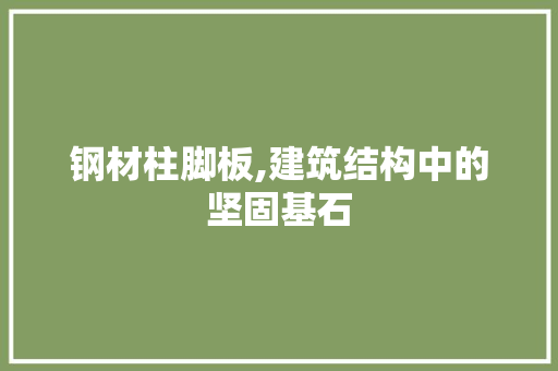 钢材柱脚板,建筑结构中的坚固基石