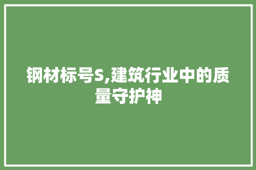 钢材标号S,建筑行业中的质量守护神