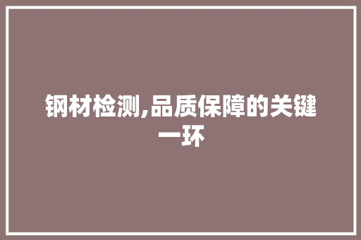 钢材检测,品质保障的关键一环