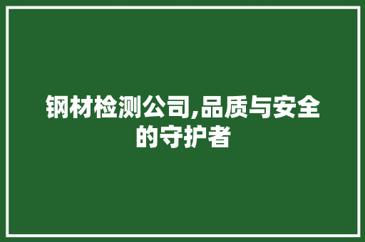 钢材检测公司,品质与安全的守护者