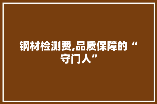 钢材检测费,品质保障的“守门人”