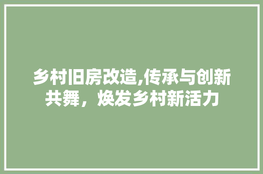 乡村旧房改造,传承与创新共舞，焕发乡村新活力