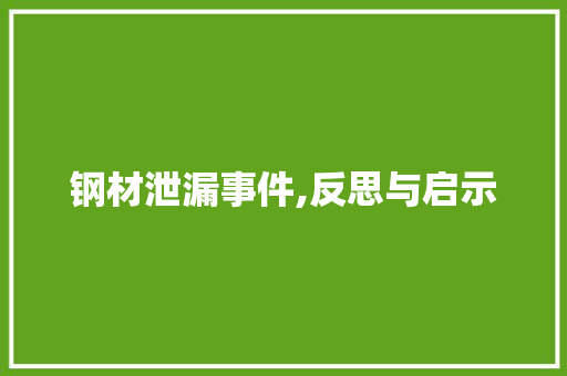 钢材泄漏事件,反思与启示