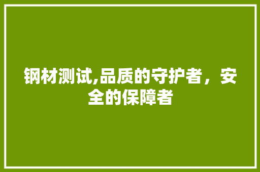 钢材测试,品质的守护者，安全的保障者