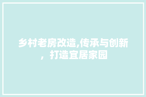 乡村老房改造,传承与创新，打造宜居家园