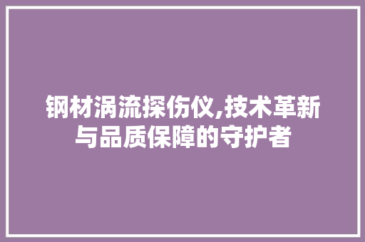 钢材涡流探伤仪,技术革新与品质保障的守护者