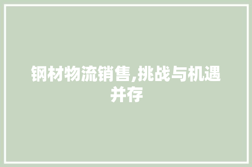 钢材物流销售,挑战与机遇并存