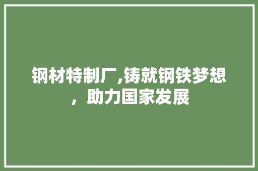 钢材特制厂,铸就钢铁梦想，助力国家发展