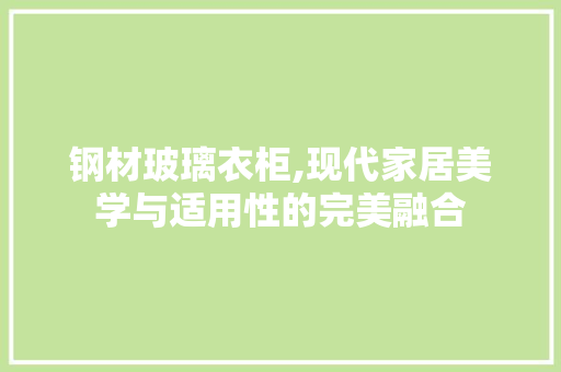 钢材玻璃衣柜,现代家居美学与适用性的完美融合