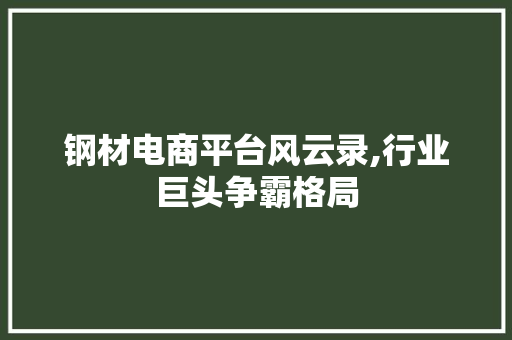钢材电商平台风云录,行业巨头争霸格局