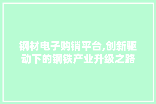 钢材电子购销平台,创新驱动下的钢铁产业升级之路