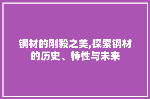 钢材的刚毅之美,探索钢材的历史、特性与未来