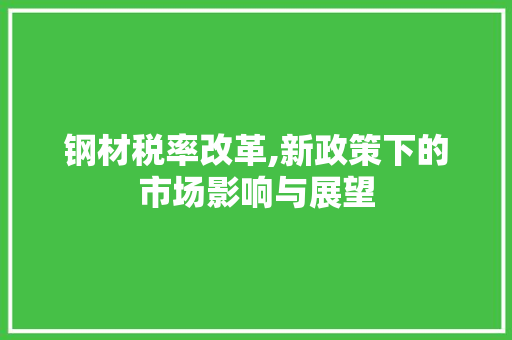 钢材税率改革,新政策下的市场影响与展望