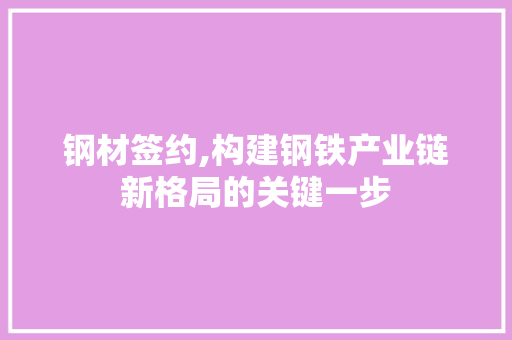 钢材签约,构建钢铁产业链新格局的关键一步