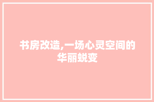 书房改造,一场心灵空间的华丽蜕变