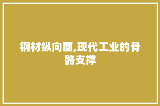 钢材纵向面,现代工业的骨骼支撑